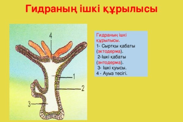 Спрут мега кракен